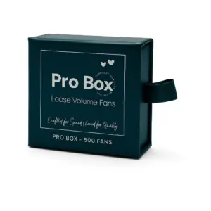 4D Loose Promade Fans | 500 Premade Volume Lashes