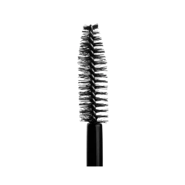 ZOLA | Mascara Mystique