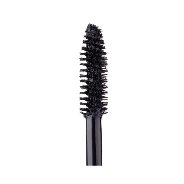ZOLA | Mascara Mystique